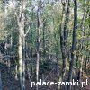 Muchów - Wieża widokowa Mszana
