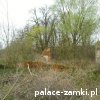 Bielowice - Dwór