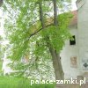 Chobienia - Pałac