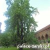 Kamieniec Ząbkowicki - Pałac