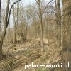 Kondratów - Dwór