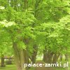 Naroczyce - Pałac