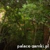 Pątnów - Pałac