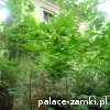 Pątnów - Pałac