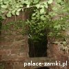 Pątnów - Pałac