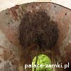 Stara Rudna - Pałac