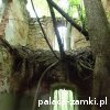 Stara Rudna - Pałac