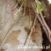 Stara Rudna - Pałac