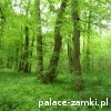 Stara Rudna - Pałac