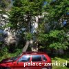 Włodowice - Pałac