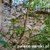 Włodowice - Pałac