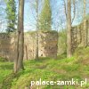 Cieszów - Zamek Cisy