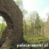 Cieszów - Zamek Cisy