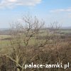 Grodziec - Zamek