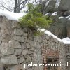 Janowice Wielkie - Zamek Bolczów
