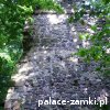 Rokitnica - Zamek