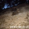 Rybnica - Zamek