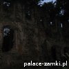 Rybnica - Zamek