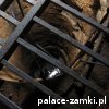 Srebrna Gora - Twierdza