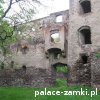 Świny - Zamek