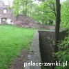 Świny - Zamek