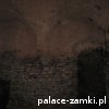 Świny - Zamek