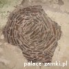 Świny - Zamek